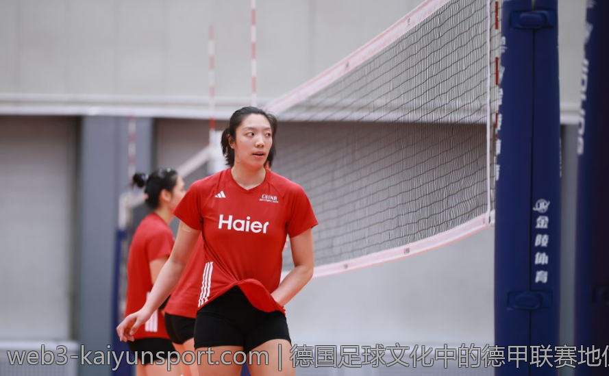 德国足球文化中的德甲联赛地位